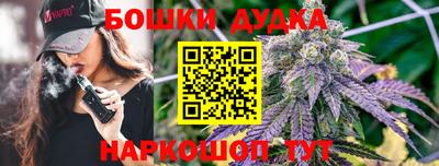 индика Пушкино