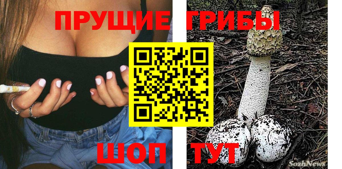 Псилоцибиновые грибы Cubensis  Вход с VPN  Псилоцибиновые грибы GOLDEN TEACHER  Чапаевск 